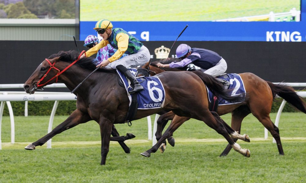 他的突破与 他的突破与