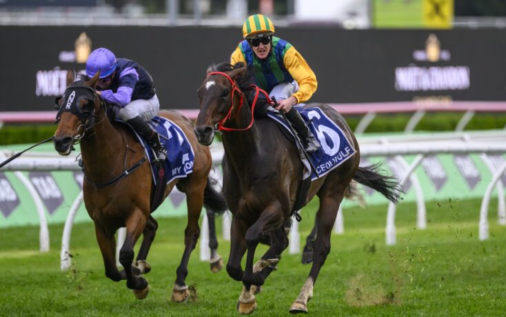 經常被譽為 經常被譽為