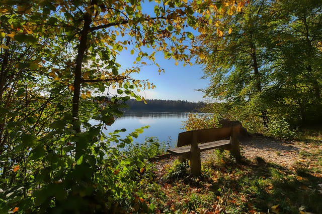 在得分和助 在得分和助