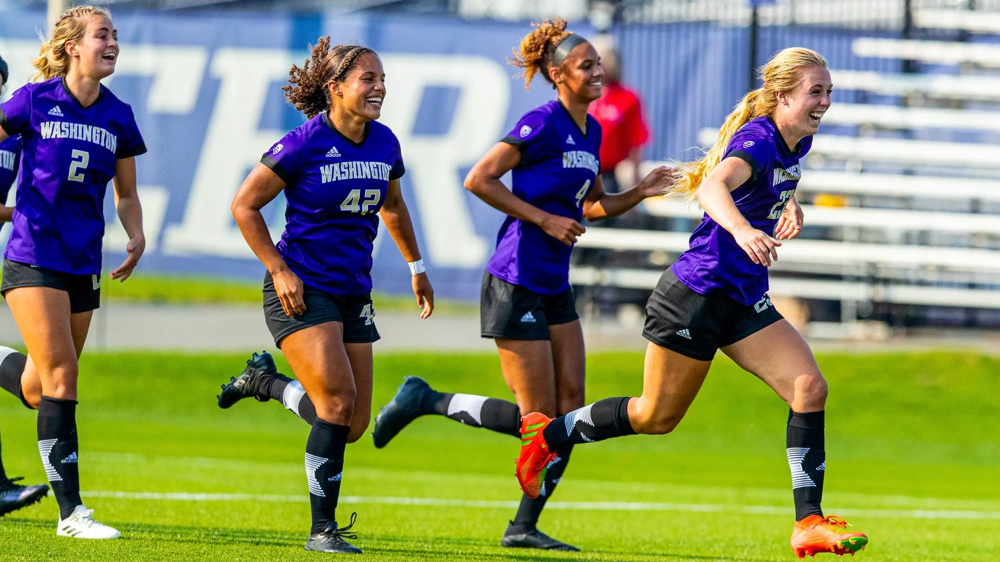 體育園因其 體育園因其