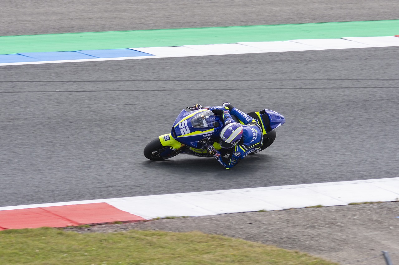 纵观本赛季 纵观本赛季